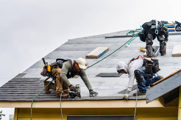 Professional Gutter Installation technician working in Murray, IA